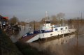 Hochwasser Seligenstadt 18.01.2011 012